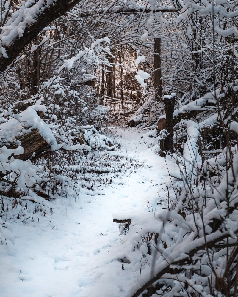 Photograph by Greg Noakes