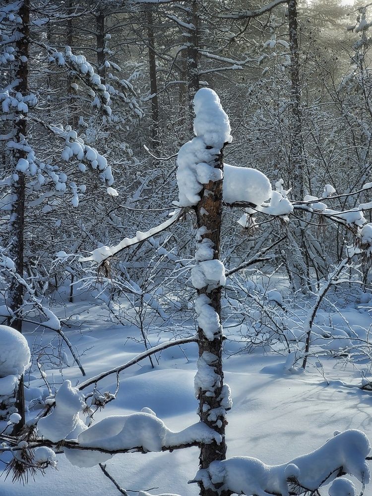 Photograph by Елена