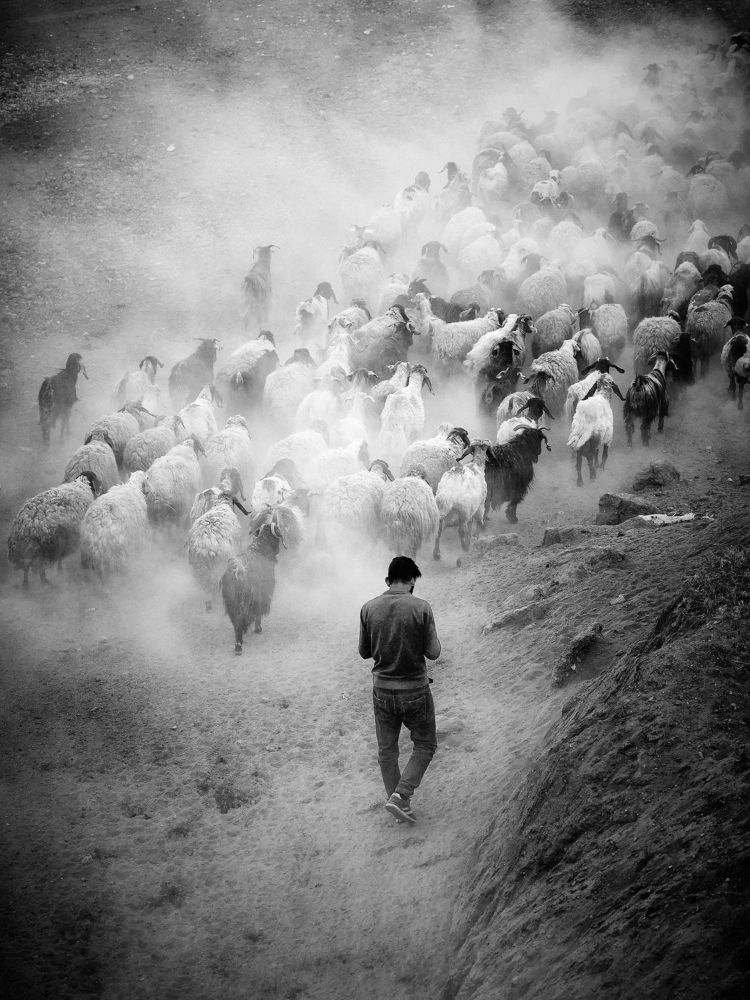 Фотография автора Gilcan Mete Delibay