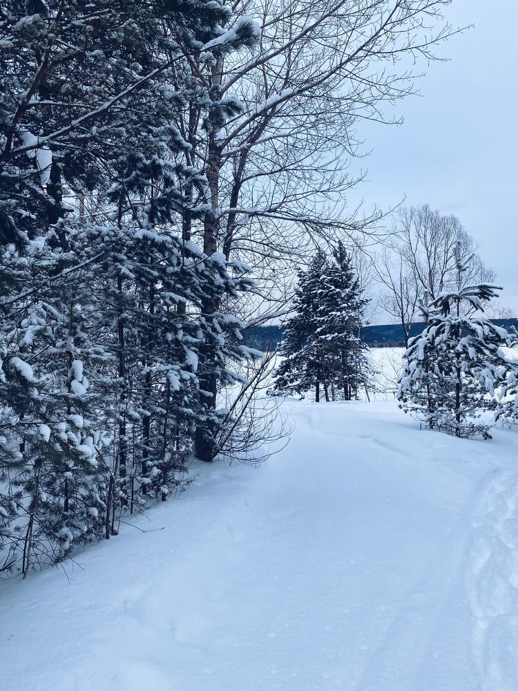 Photograph by Швай Наталья