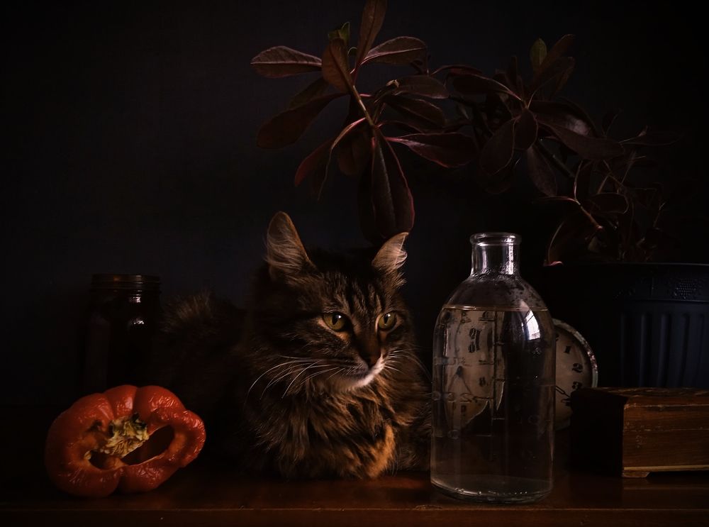 Photograph by Евсеева Валентина