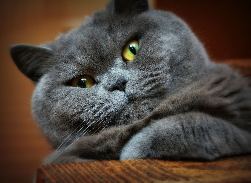 Photograph by Сергей Алексеев