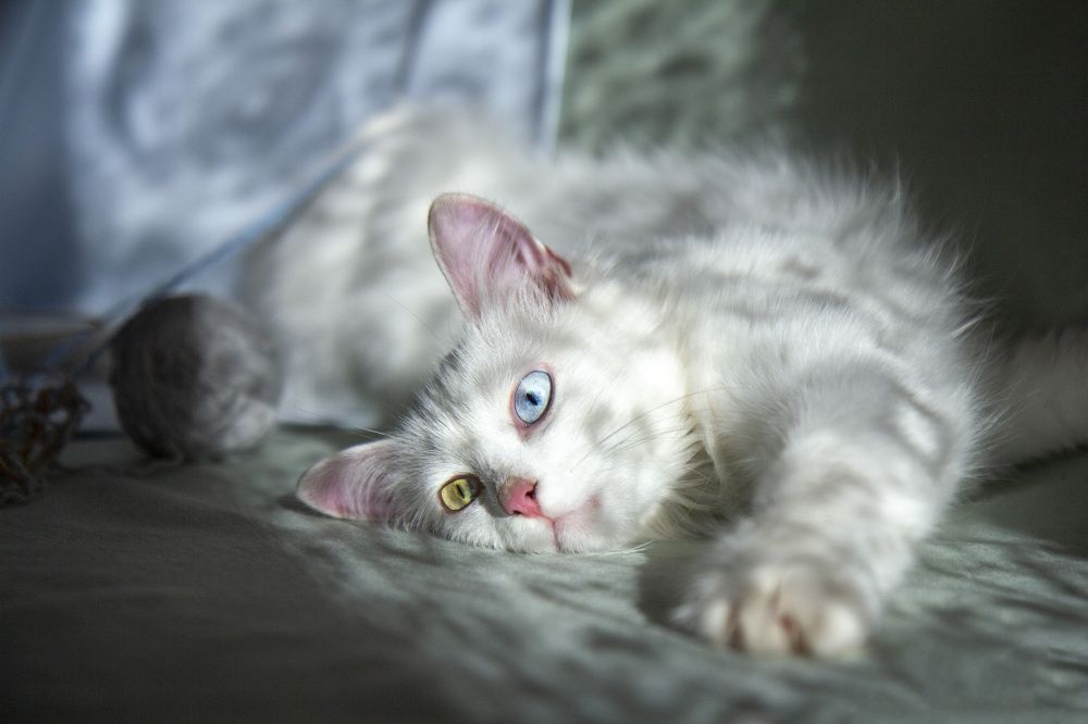 Photograph by Виктория Суркова