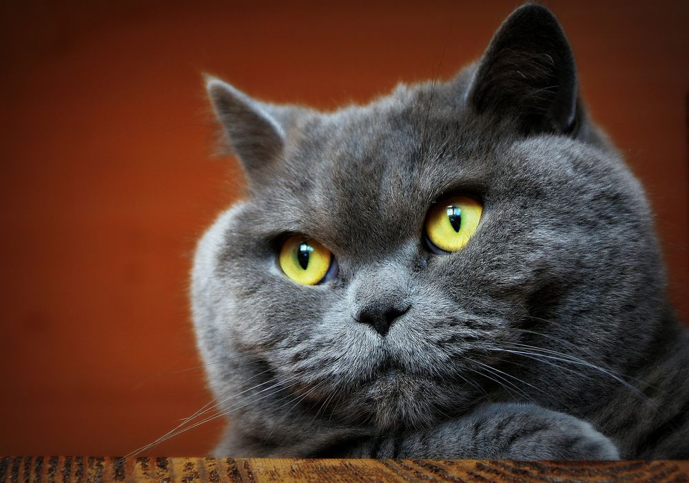 Photograph by Сергей Алексеев