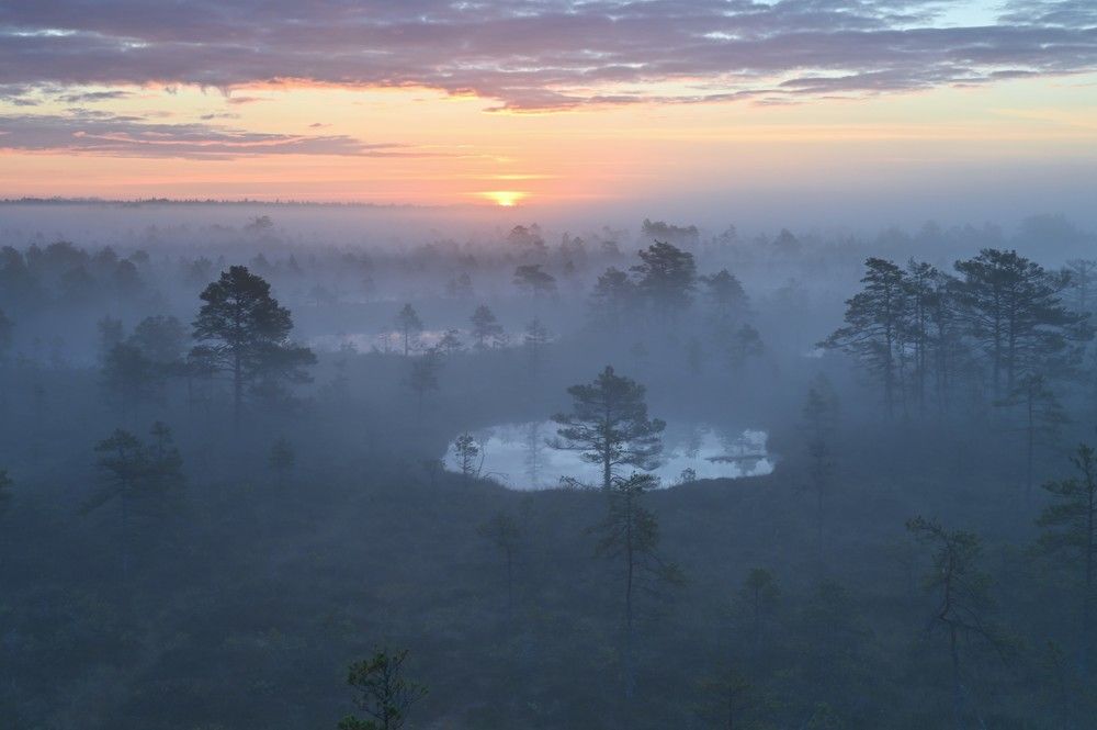 Photograph by IJA REIMAN