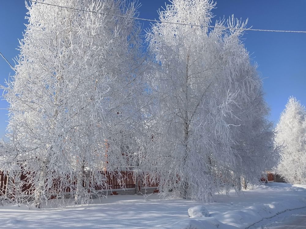 Photograph by Людмила Фурсова