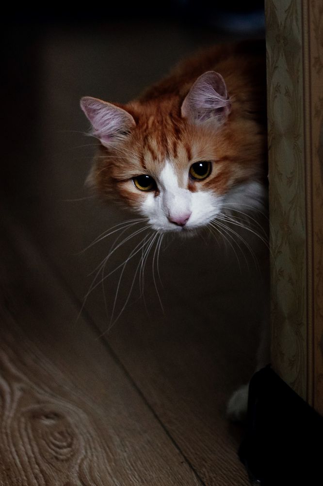 Photograph by Наталья Преснякова