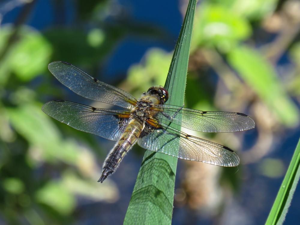 Photograph by Анастасия Романова