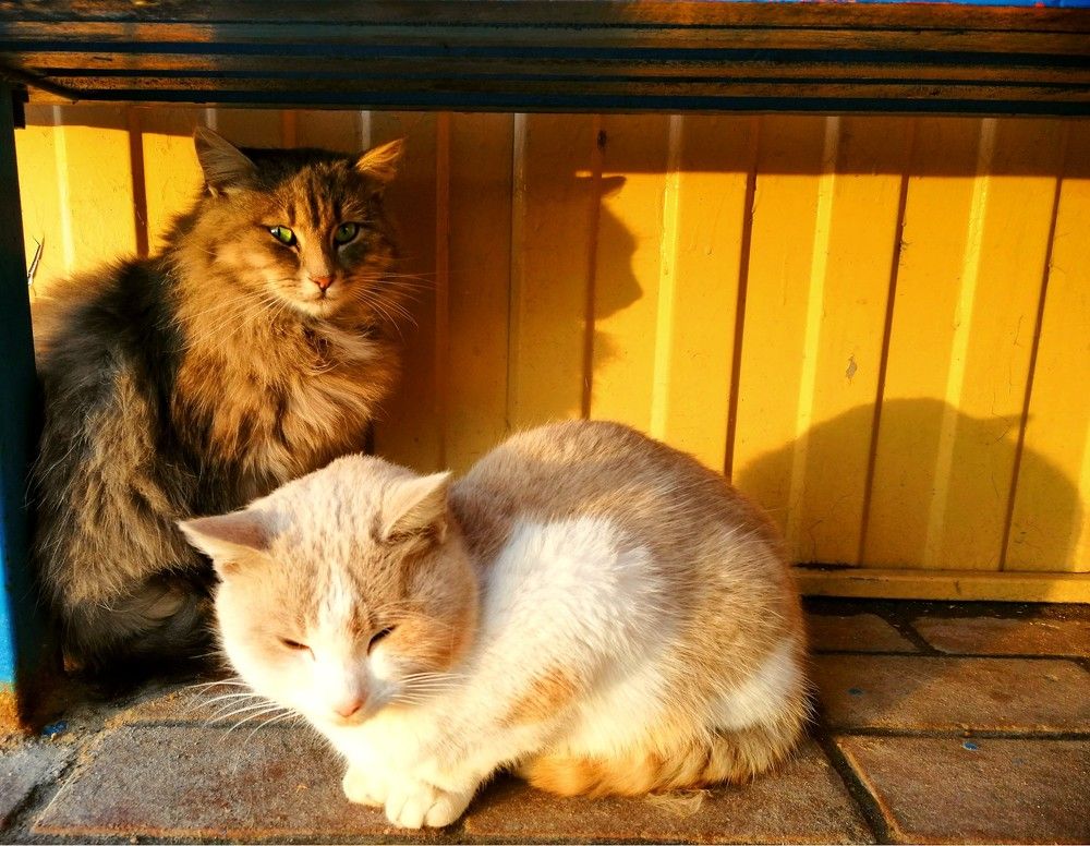 Photograph by Yuliya Hatsko