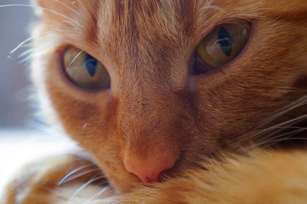 Photograph by Yuliya Hatsko