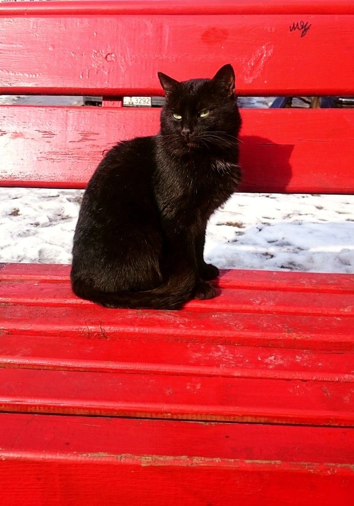 Photograph by Yuliya Hatsko