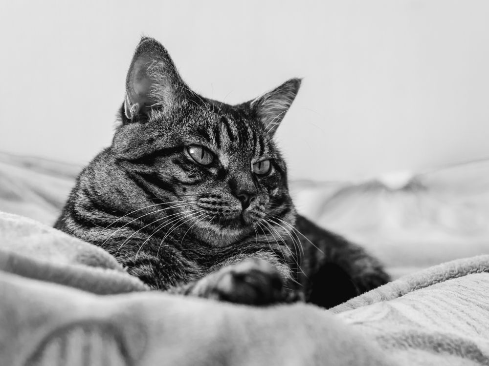 Photograph by Евгений Житников