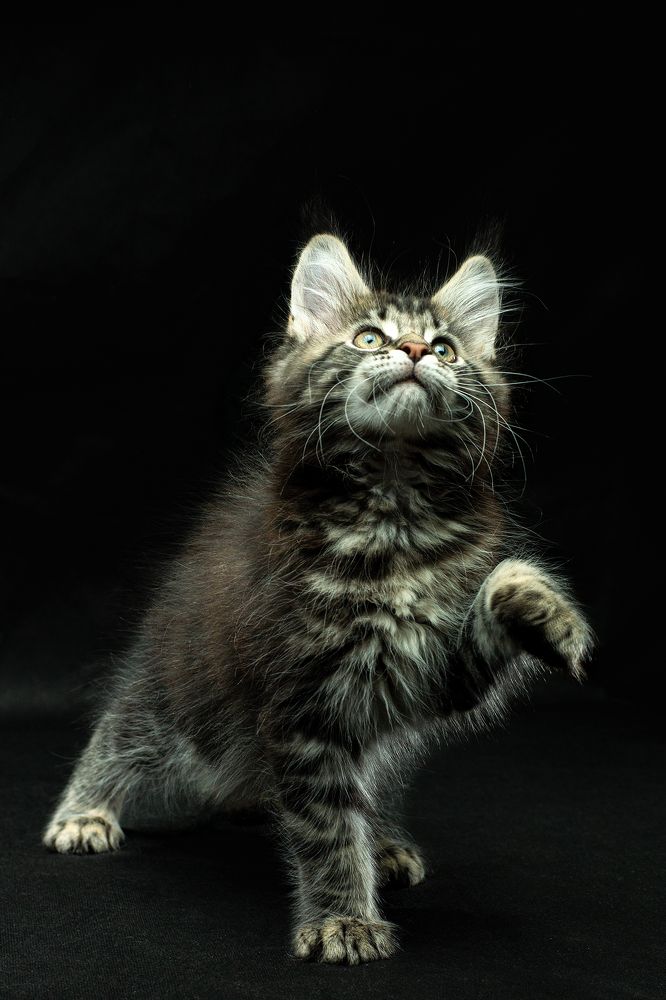 Photograph by Сергей Беляевский