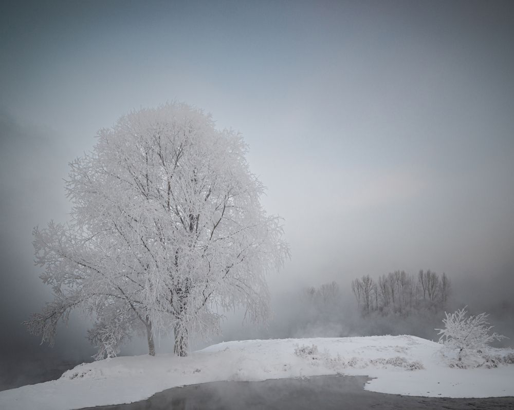 Фотография автора NIKOLAY KALININ
