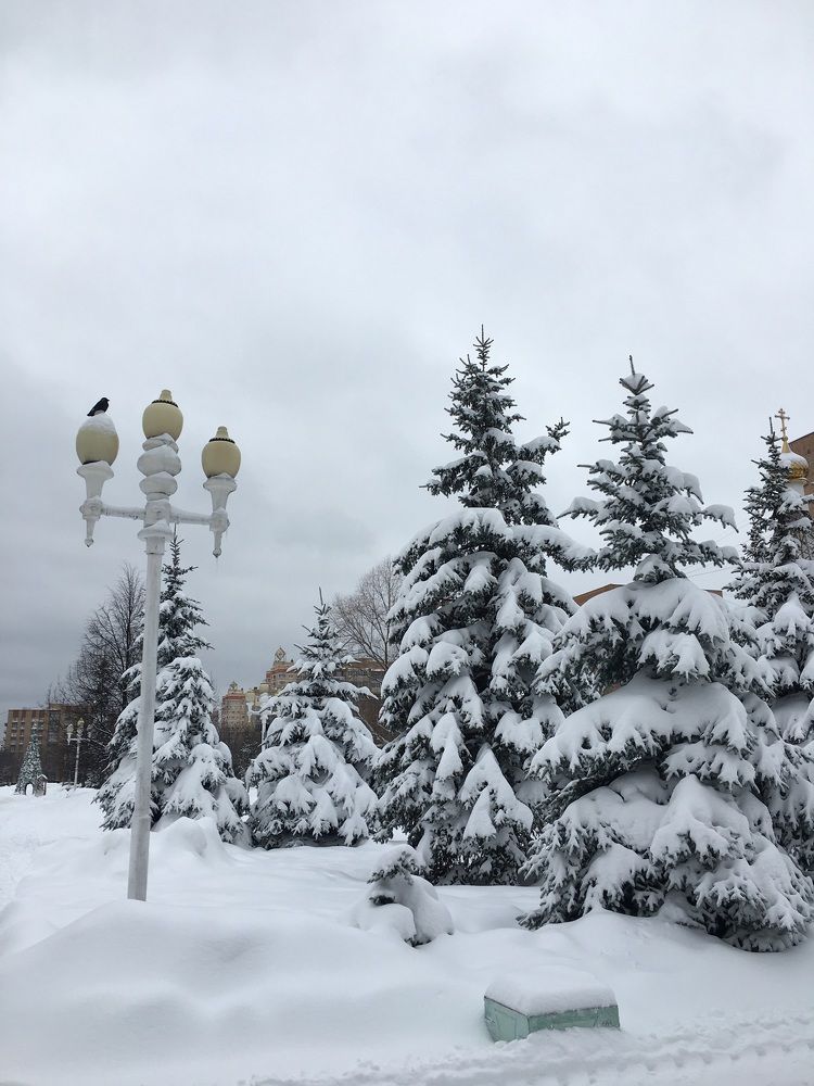 Photograph by Татьяна