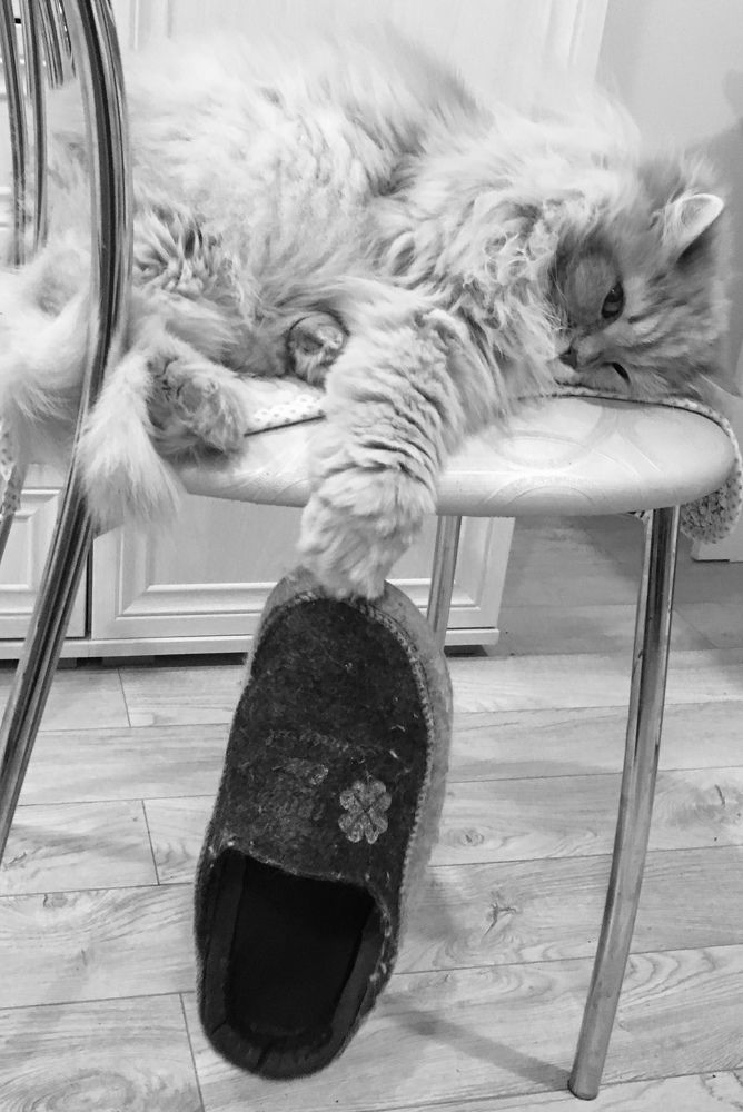 Photograph by Татьяна