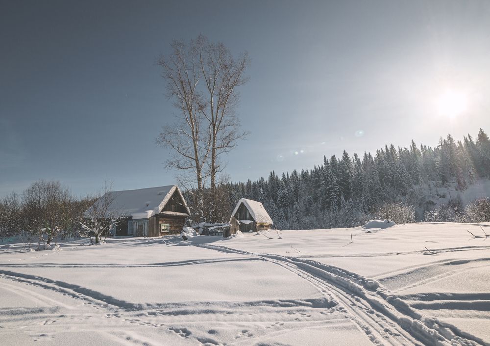 Фотография автора NIKOLAY KALININ