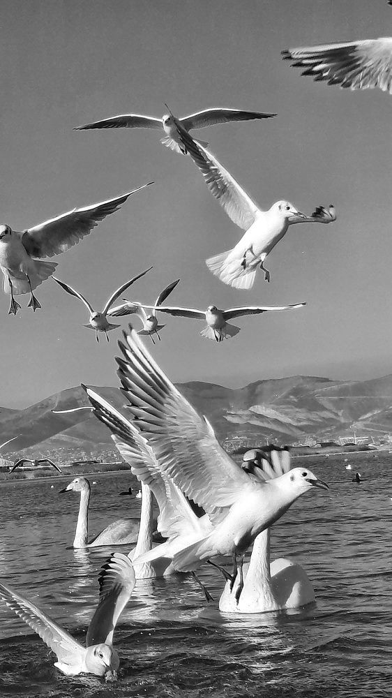 Photograph by Татьяна Григорчук