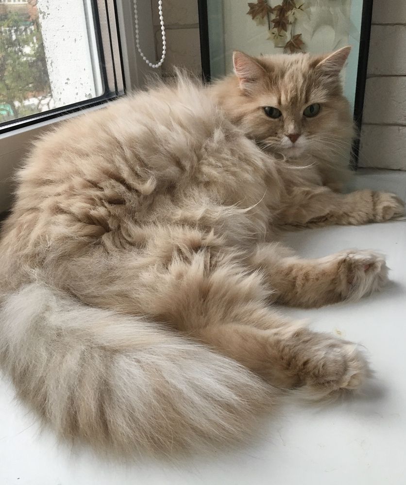 Photograph by Татьяна