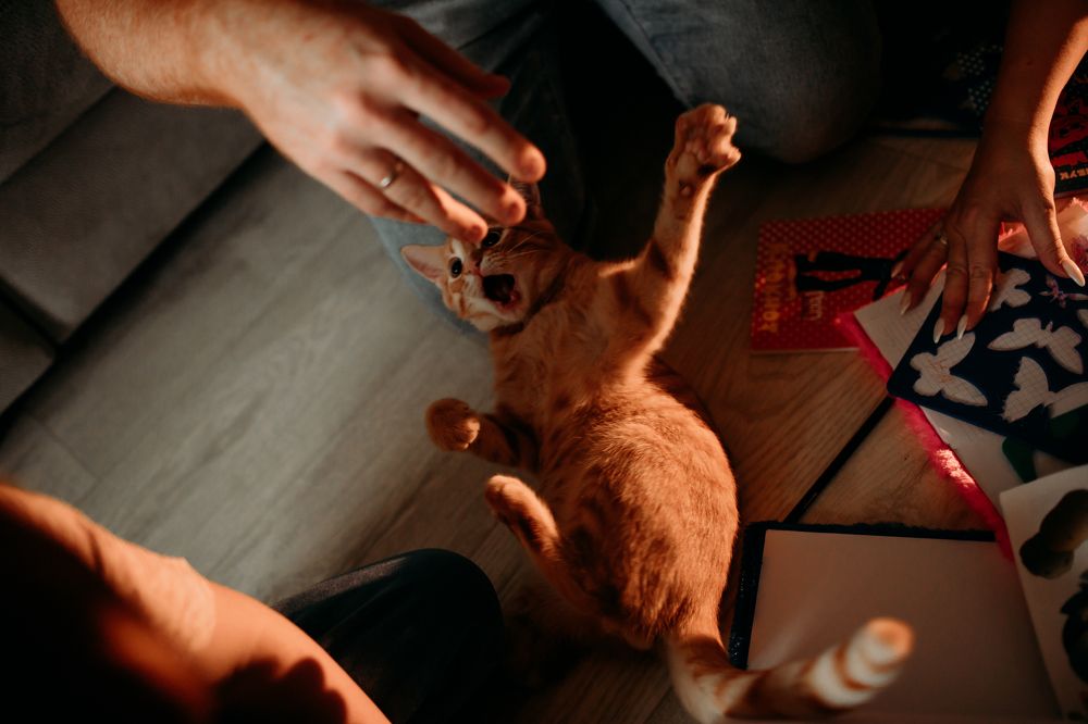 Photograph by Татьяна Новина