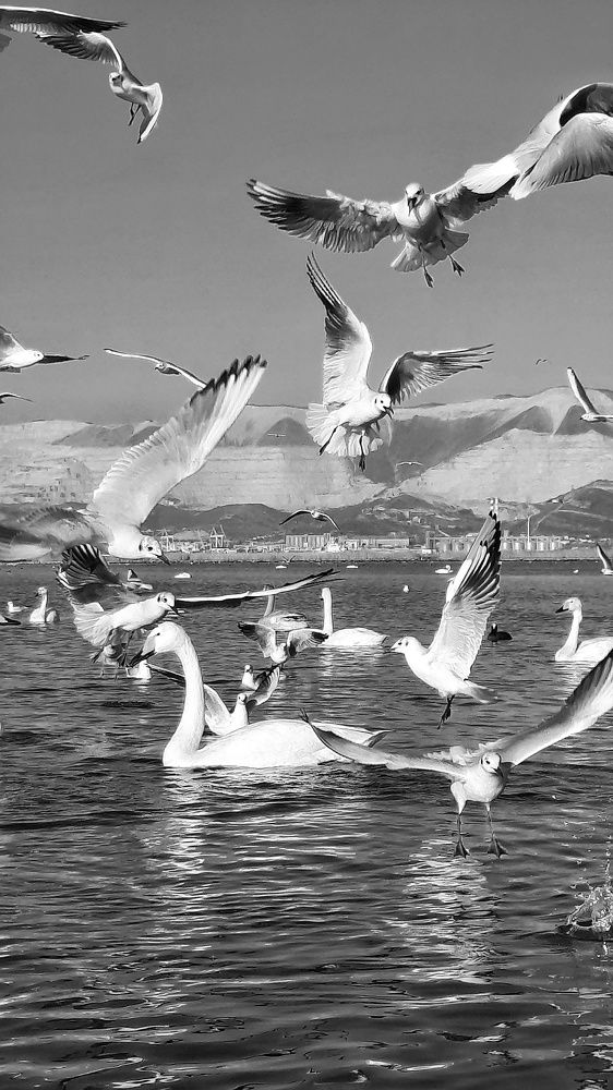 Photograph by Татьяна Григорчук