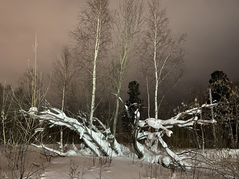 Photograph by Елена Мусина