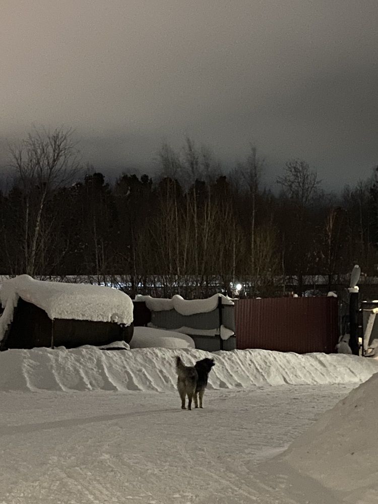 Photograph by Елена Мусина