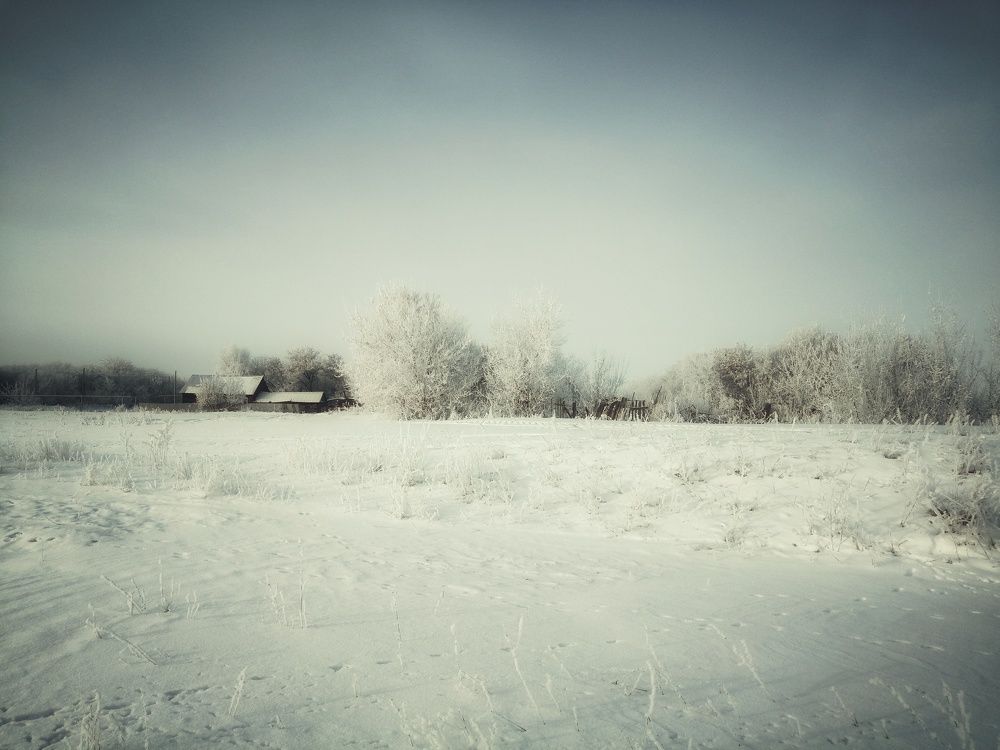 Photograph by Анастасия Чепурнова