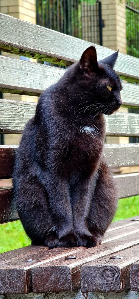 Photograph by Алексей Миронов