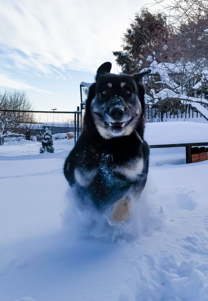 Photograph by Алексей Копылов