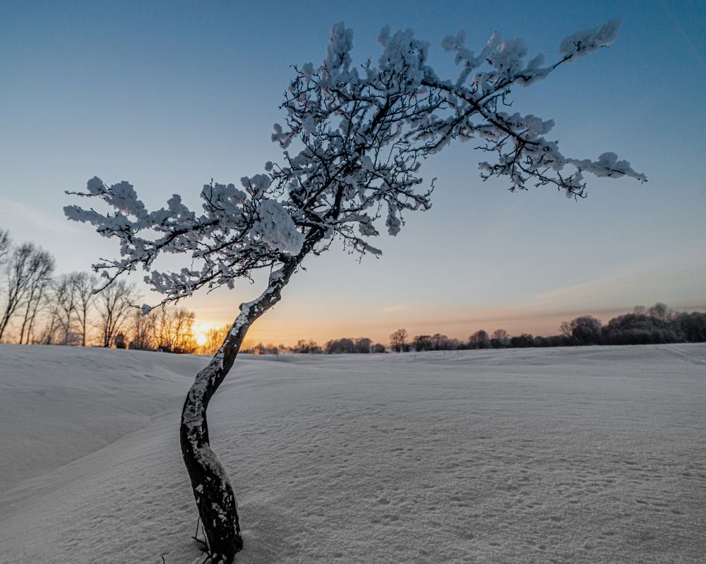 Фотография автора NIKOLAY KALININ