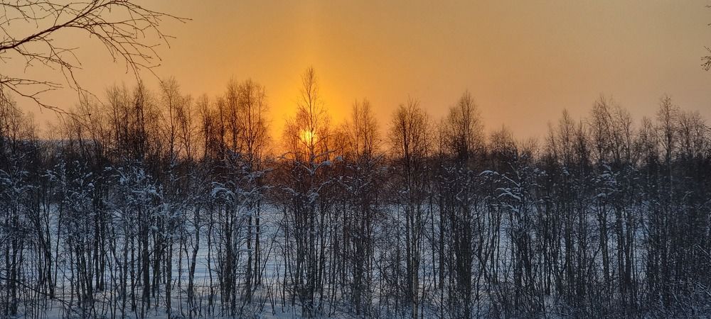 Фотография автора Елена Евтушенко