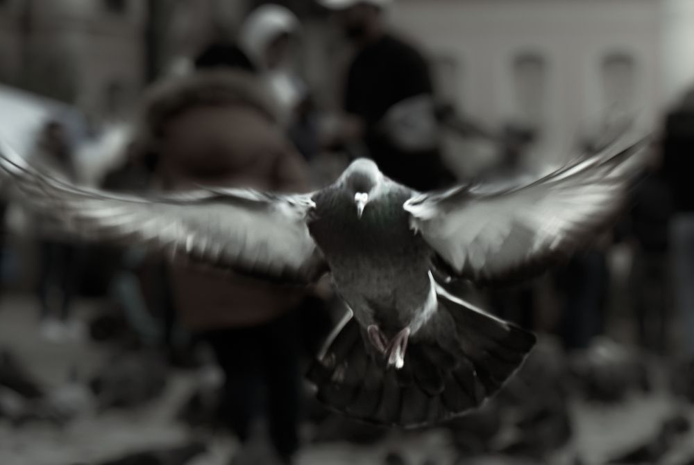 Photograph by Святослав Лёвкин