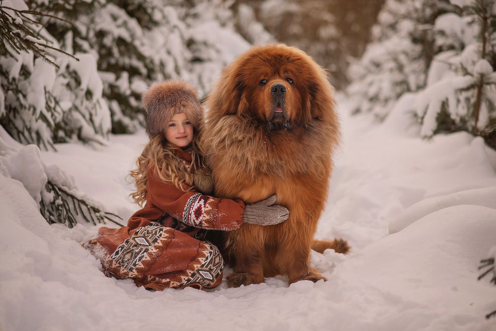 Фотография автора Екатерина Григорьева