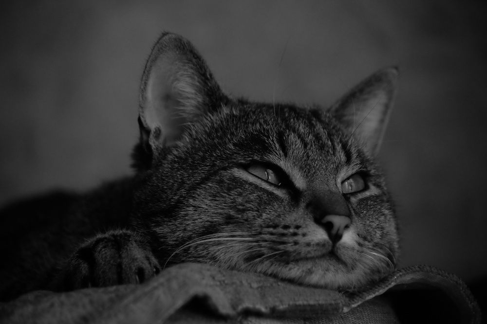 Photograph by Regina Gritsenko