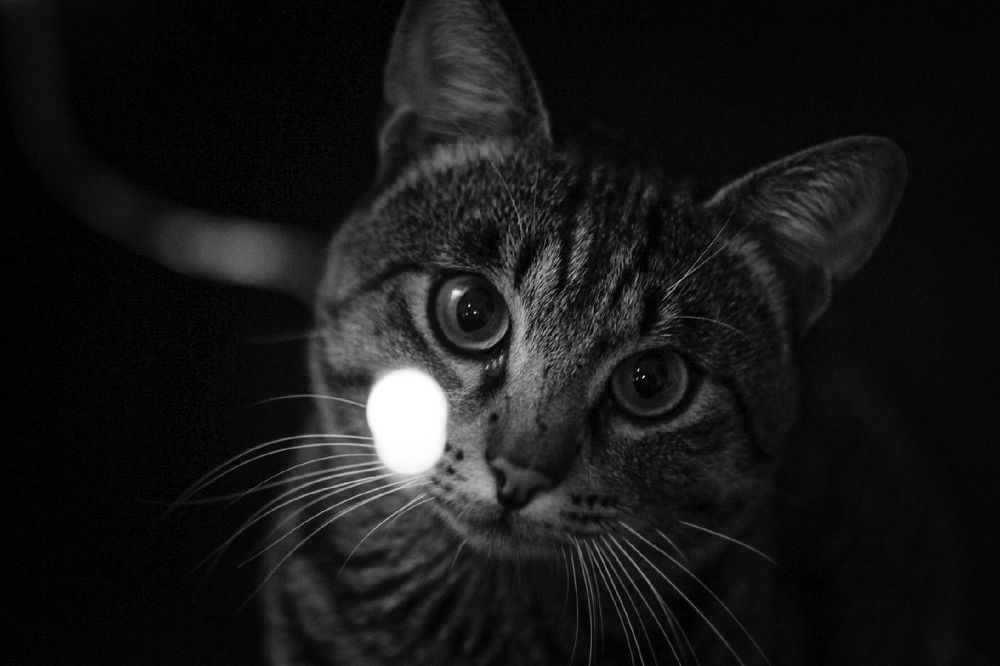 Photograph by Regina Gritsenko