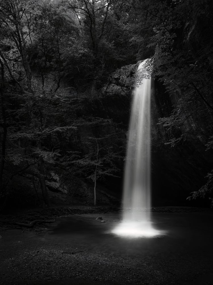 Photograph by Маргарита Смоленская