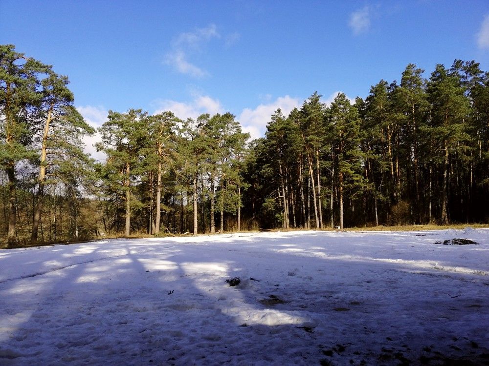 Photograph by Юлія Гацко