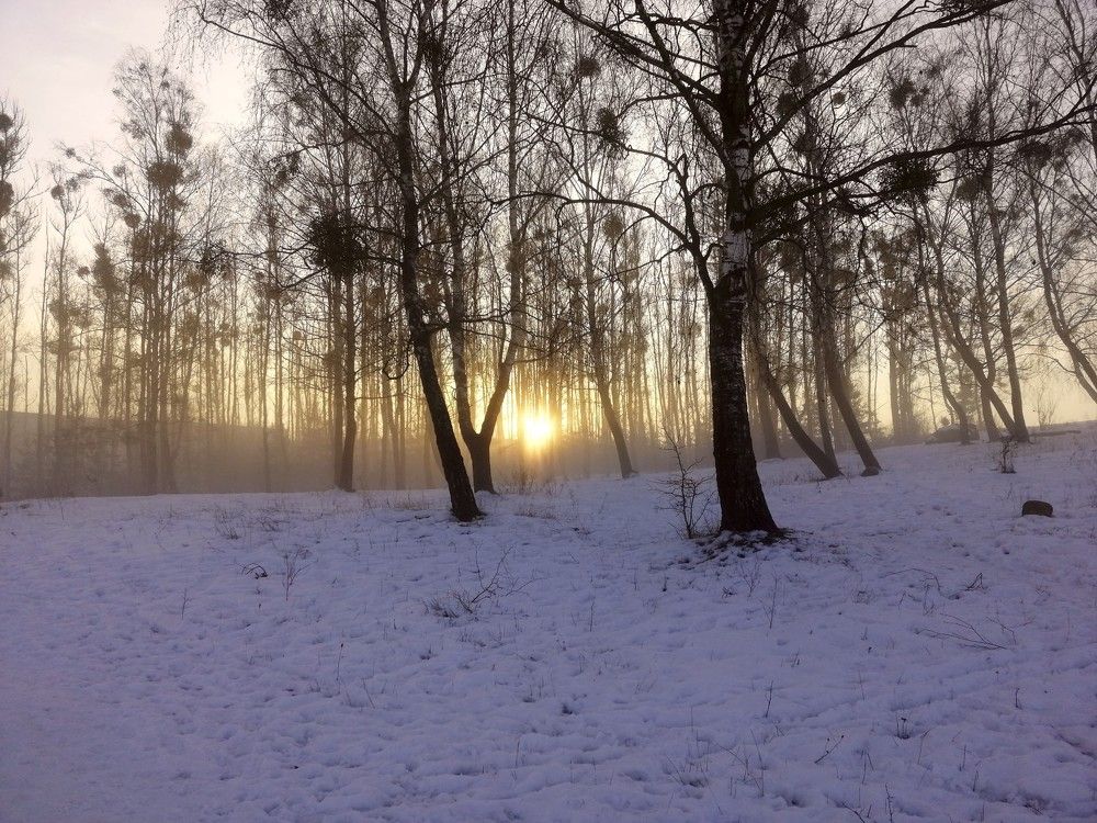 Photograph by Юлія Гацко