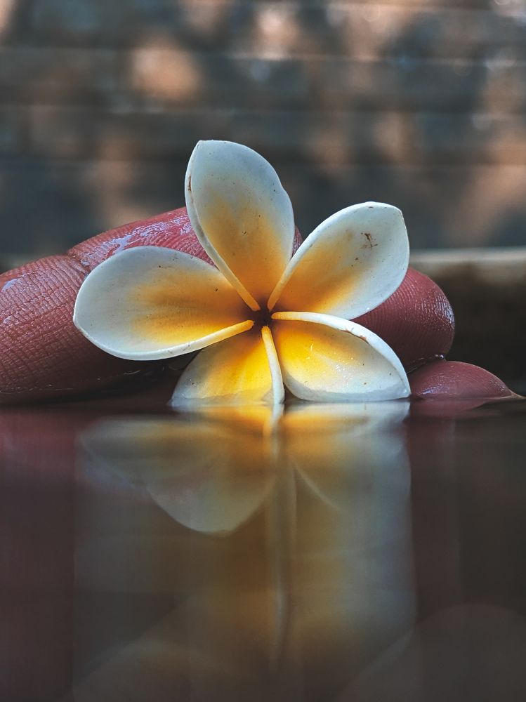 Фотография автора Tawkir Ahmad Shimul Md.