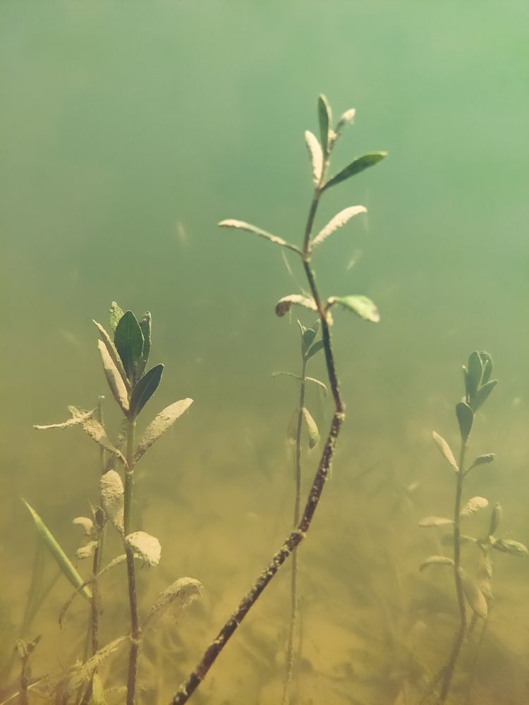 Фотография автора Tawkir Ahmad Shimul Md.