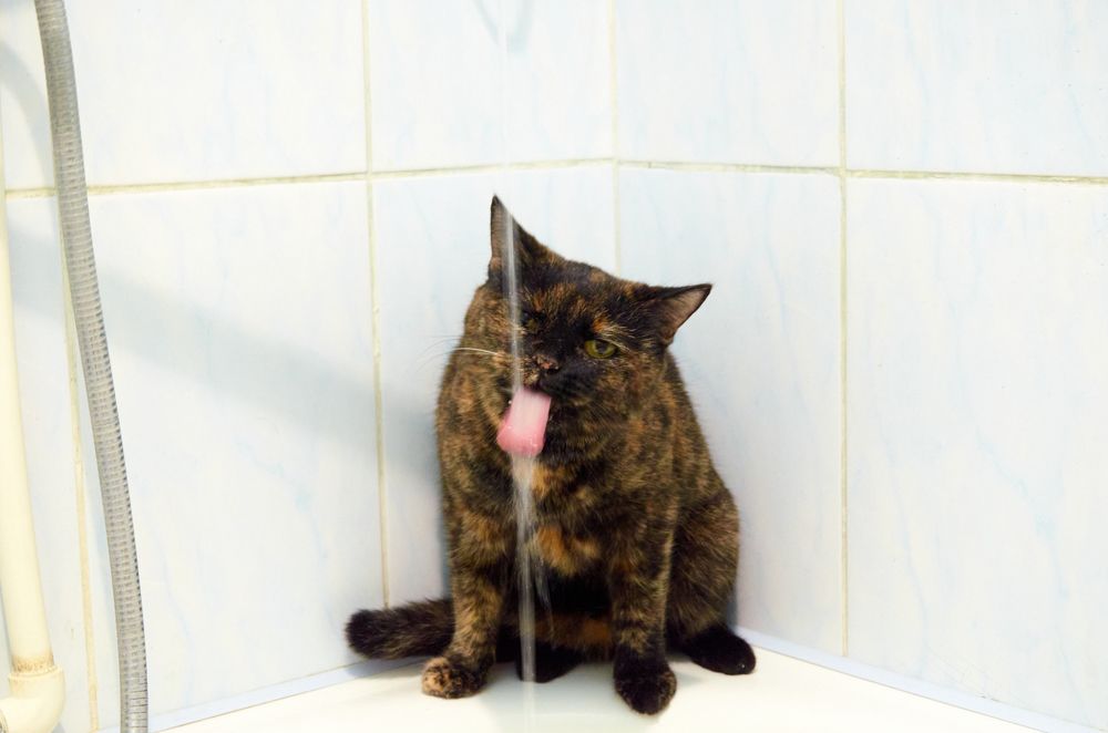 Photograph by Igor Kochkin