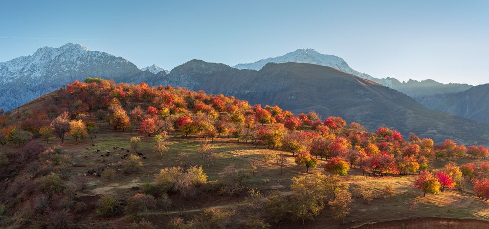 Photograph by Исаков Дмитрий