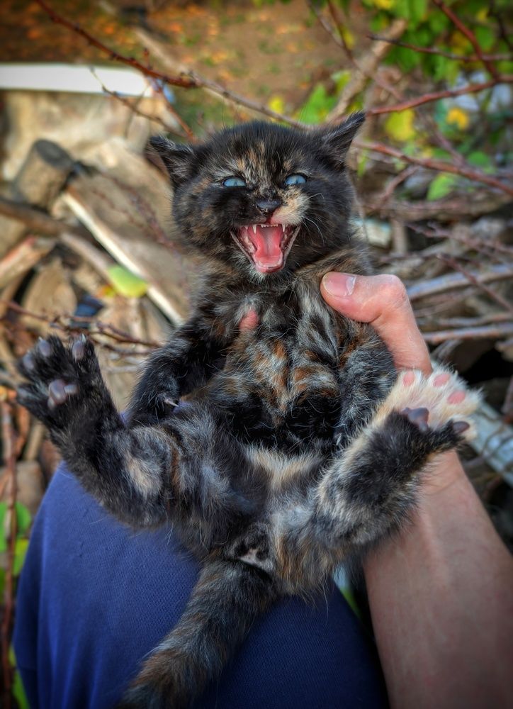 Photograph by Дмитрий Леонтенко