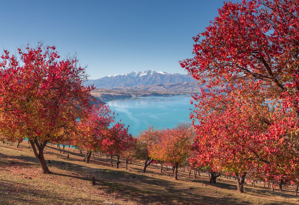 Photograph by Исаков Дмитрий