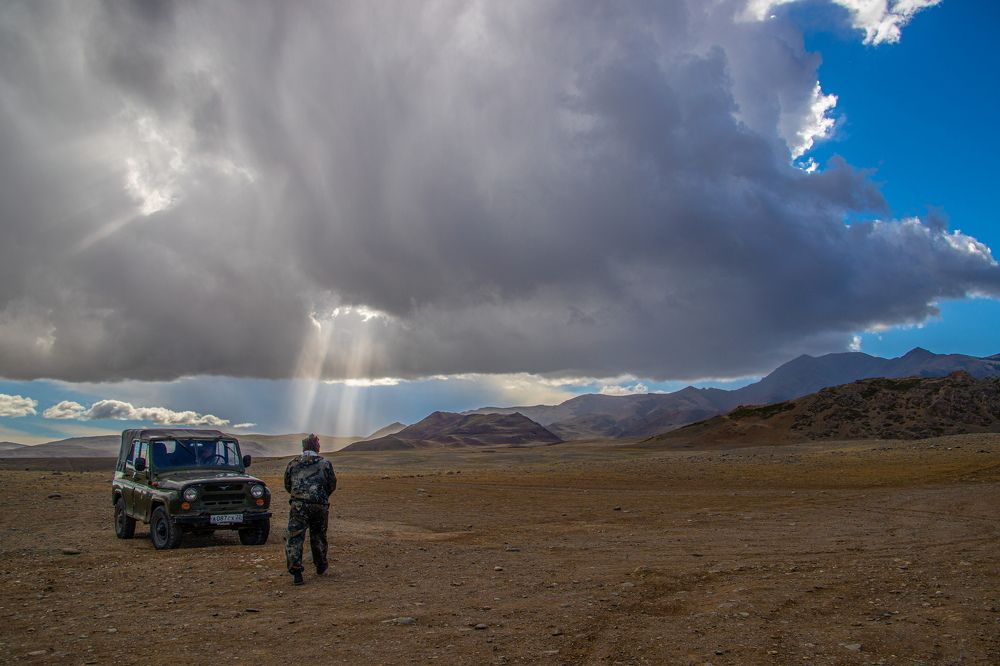 Photograph by Алмадаков Эдуард