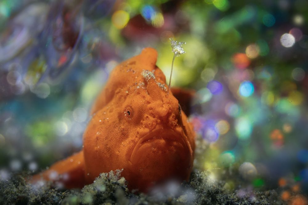 Photograph by Дериглазова Марина Владимировна