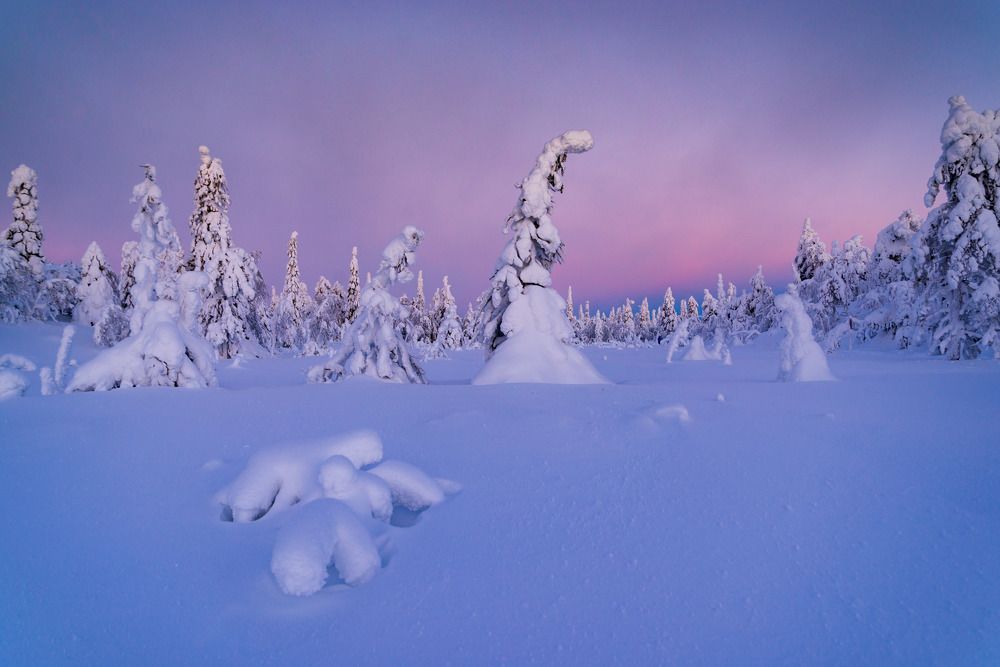 Photograph by Исаков Дмитрий