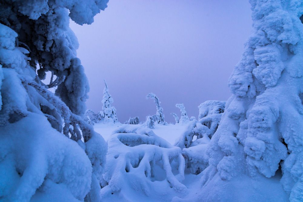 Photograph by Исаков Дмитрий