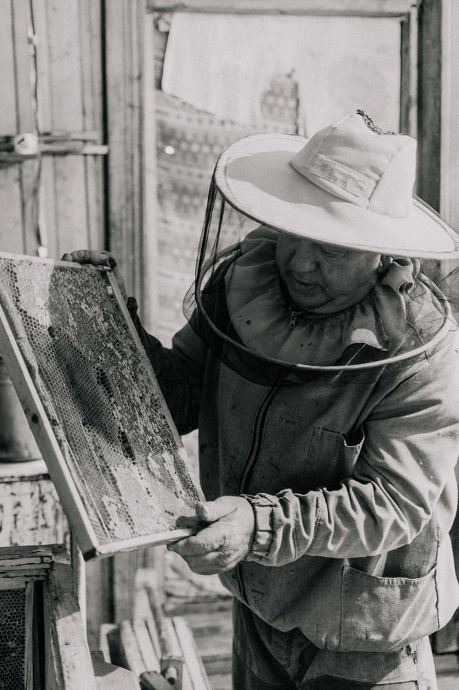 Photograph by Вера Волкова